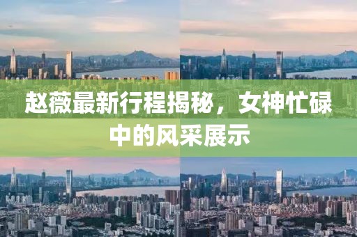 趙薇最新行程揭秘，女神忙碌中的風(fēng)采展示