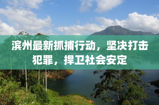 濱州最新抓捕行動，堅決打擊犯罪，捍衛(wèi)社會安定