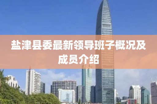 鹽津縣委最新領導班子概況及成員介紹