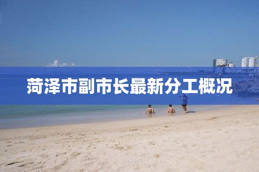 菏澤市副市長(zhǎng)最新分工概況