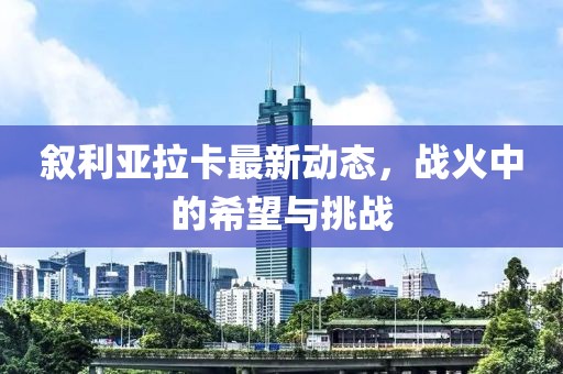 敘利亞拉卡最新動(dòng)態(tài)，戰(zhàn)火中的希望與挑戰(zhàn)