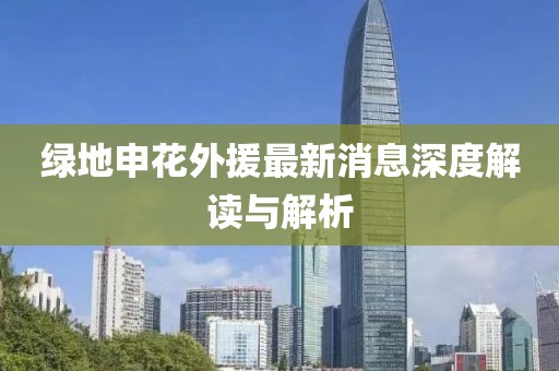 綠地申花外援最新消息深度解讀與解析
