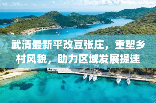 武清最新平改豆張莊，重塑鄉(xiāng)村風(fēng)貌，助力區(qū)域發(fā)展提速