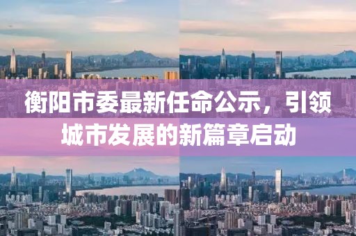 衡陽市委最新任命公示，引領(lǐng)城市發(fā)展的新篇章啟動(dòng)