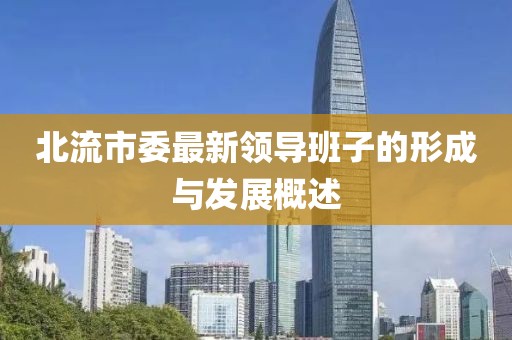 北流市委最新領(lǐng)導(dǎo)班子的形成與發(fā)展概述
