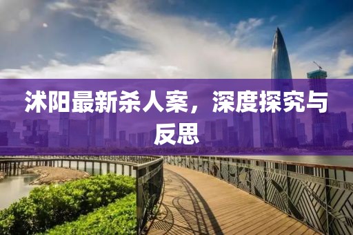沭陽最新殺人案，深度探究與反思