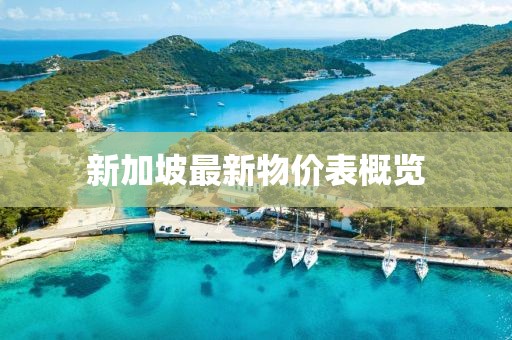 新加坡最新物價表概覽