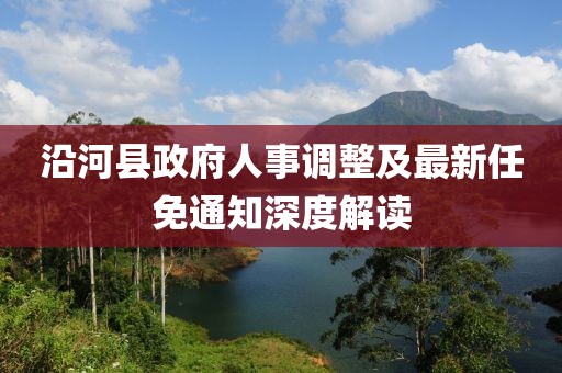 沿河縣政府人事調(diào)整及最新任免通知深度解讀