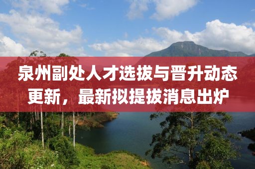 泉州副處人才選拔與晉升動態(tài)更新，最新擬提拔消息出爐