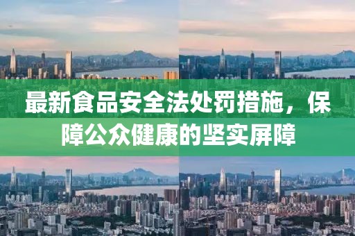 最新食品安全法處罰措施，保障公眾健康的堅實屏障