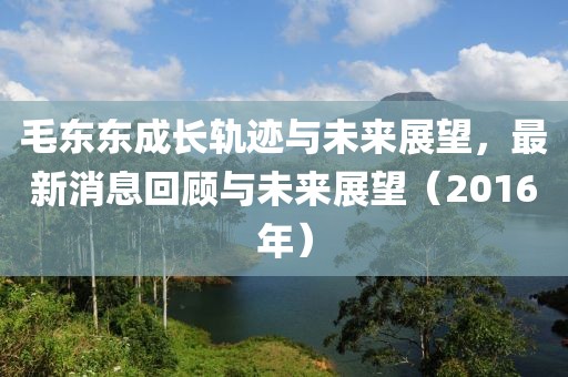 毛東東成長軌跡與未來展望，最新消息回顧與未來展望（2016年）