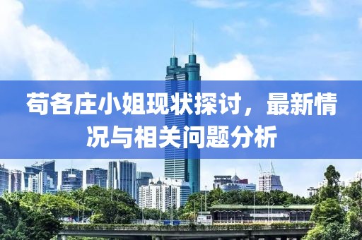 茍各莊小姐現(xiàn)狀探討，最新情況與相關(guān)問題分析