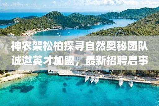神農架松柏探尋自然奧秘團隊誠邀英才加盟，最新招聘啟事