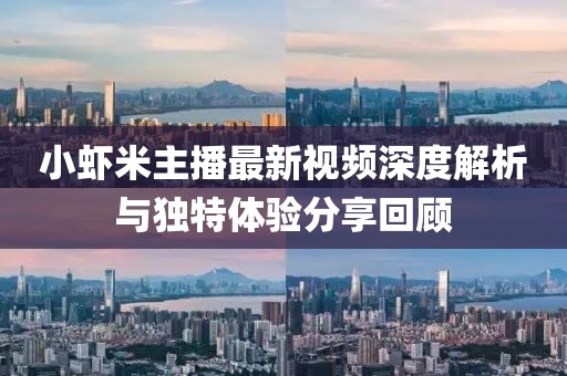 小蝦米主播最新視頻深度解析與獨特體驗分享回顧