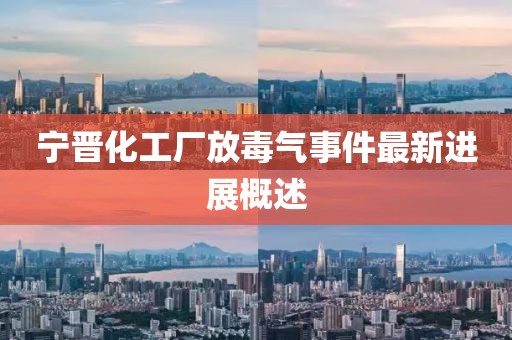 寧晉化工廠放毒氣事件最新進展概述