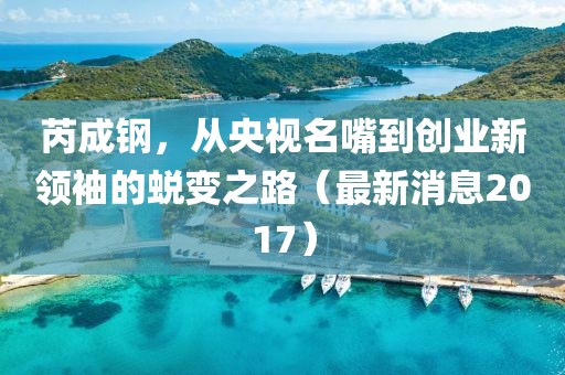 芮成鋼，從央視名嘴到創(chuàng)業(yè)新領(lǐng)袖的蛻變之路（最新消息2017）