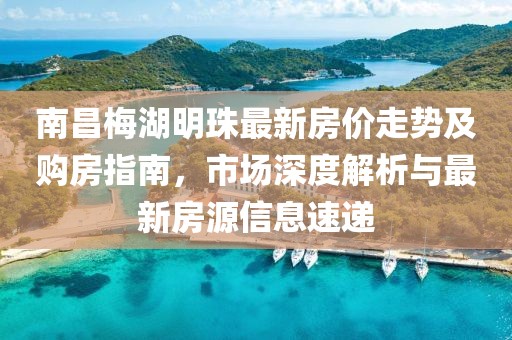 南昌梅湖明珠最新房價走勢及購房指南，市場深度解析與最新房源信息速遞