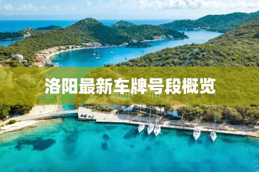 洛陽最新車牌號段概覽