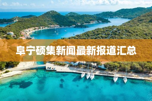 阜寧碩集新聞最新報(bào)道匯總