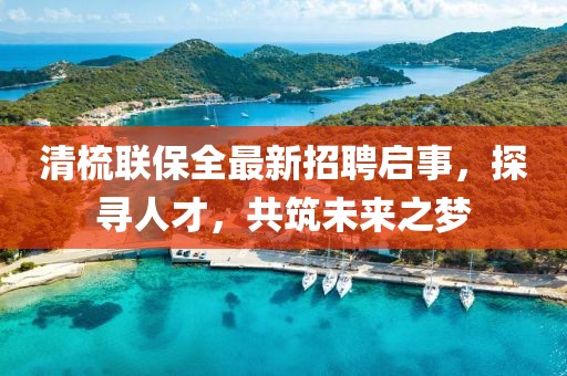清梳聯(lián)保全最新招聘啟事，探尋人才，共筑未來之夢