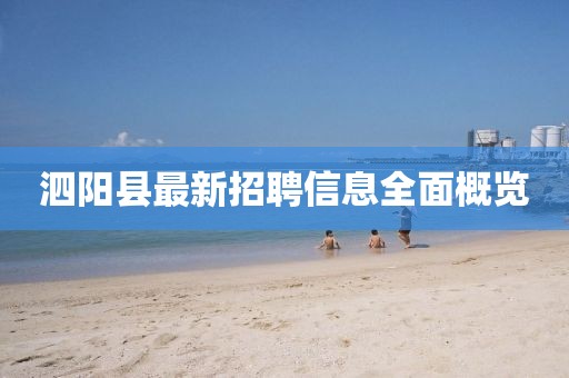 泗陽縣最新招聘信息全面概覽