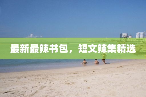 最新最辣書包，短文辣集精選