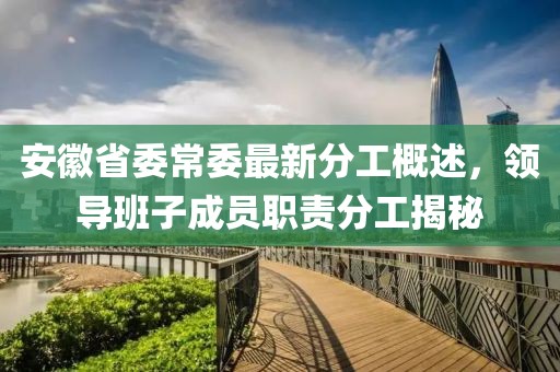 安徽省委常委最新分工概述，領導班子成員職責分工揭秘