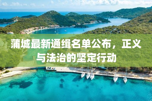 蒲城最新通緝名單公布，正義與法治的堅定行動