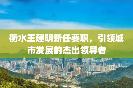 衡水王建明新任要職，引領城市發(fā)展的杰出領導者