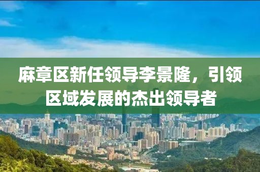 麻章區(qū)新任領(lǐng)導(dǎo)李景隆，引領(lǐng)區(qū)域發(fā)展的杰出領(lǐng)導(dǎo)者