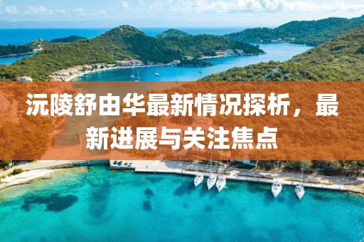 沅陵舒由華最新情況探析，最新進(jìn)展與關(guān)注焦點