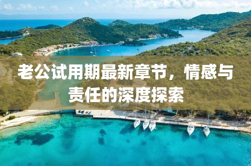 老公試用期最新章節(jié)，情感與責(zé)任的深度探索