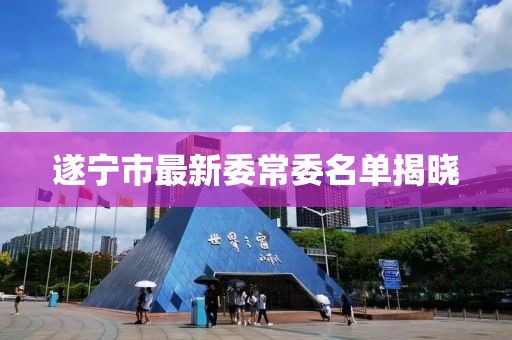 遂寧市最新委常委名單揭曉