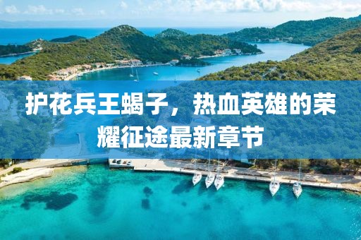 護花兵王蝎子，熱血英雄的榮耀征途最新章節(jié)