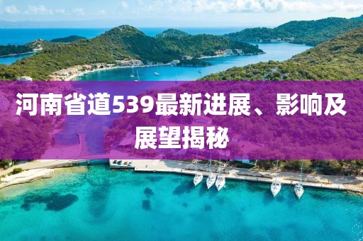 河南省道539最新進(jìn)展、影響及展望揭秘