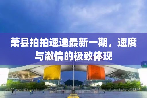 蕭縣拍拍速遞最新一期，速度與激情的極致體現(xiàn)