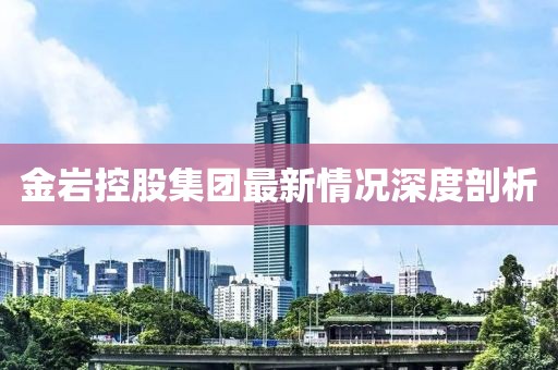 金巖控股集團最新情況深度剖析