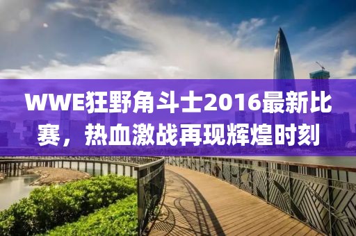 WWE狂野角斗士2016最新比賽，熱血激戰(zhàn)再現(xiàn)輝煌時(shí)刻
