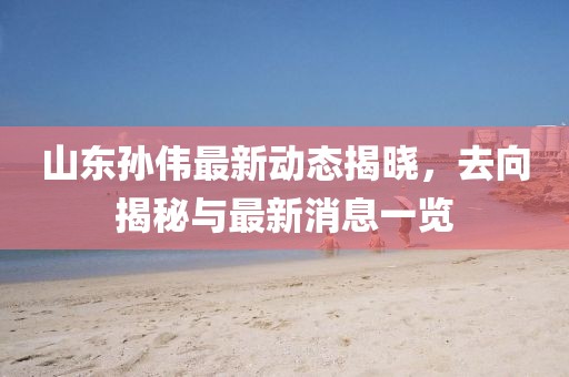 山東孫偉最新動態(tài)揭曉，去向揭秘與最新消息一覽