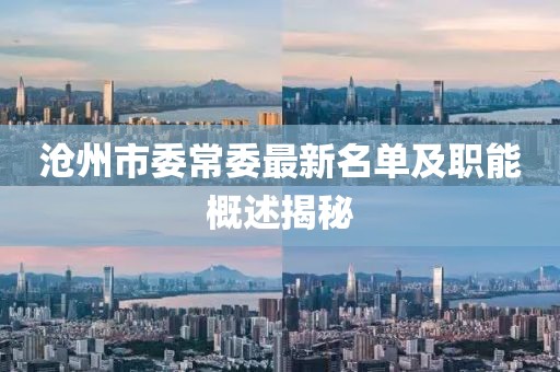 滄州市委常委最新名單及職能概述揭秘