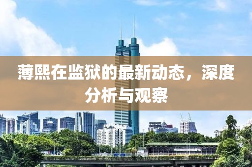 薄熙在監(jiān)獄的最新動態(tài)，深度分析與觀察
