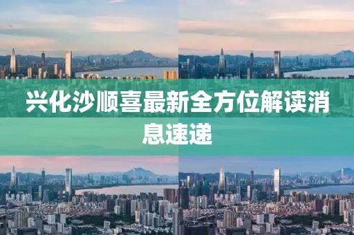 興化沙順喜最新全方位解讀消息速遞