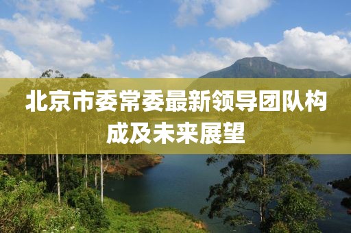 北京市委常委最新領(lǐng)導(dǎo)團(tuán)隊(duì)構(gòu)成及未來展望