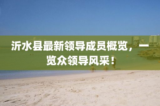 沂水縣最新領(lǐng)導(dǎo)成員概覽，一覽眾領(lǐng)導(dǎo)風采！