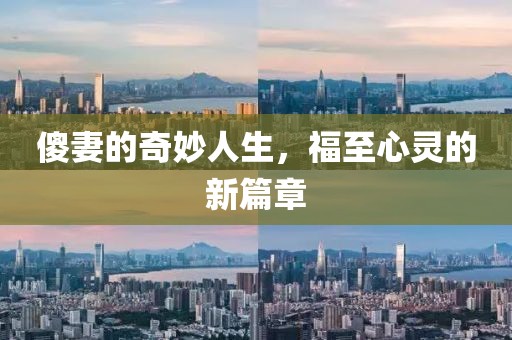 傻妻的奇妙人生，福至心靈的新篇章