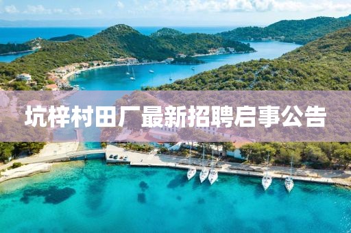 坑梓村田廠最新招聘啟事公告
