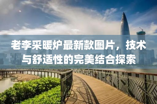 老李采暖爐最新款圖片，技術(shù)與舒適性的完美結(jié)合探索