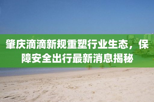 肇慶滴滴新規(guī)重塑行業(yè)生態(tài)，保障安全出行最新消息揭秘