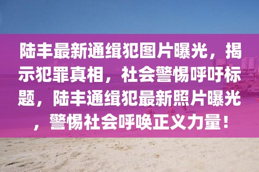 陸豐最新通緝犯圖片曝光，揭示犯罪真相，社會警惕呼吁標(biāo)題，陸豐通緝犯最新照片曝光，警惕社會呼喚正義力量！