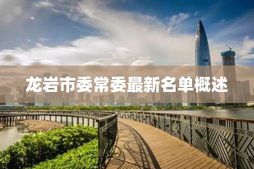 龍巖市委常委最新名單概述